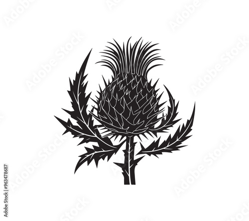 Scottish thistle vector art in Celtic style flower illustration