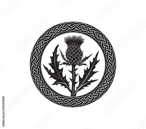 Scottish thistle vector art in Celtic style flower illustration