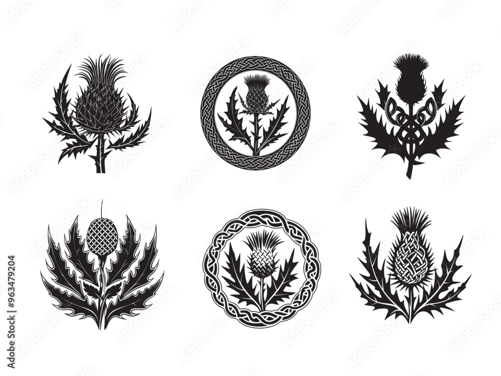 Obraz premium Scottish thistle vector art in Celtic style flower illustration