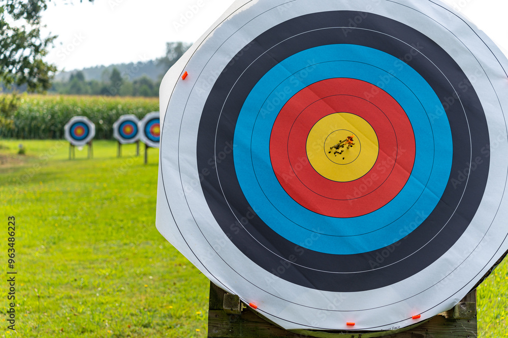 Arrows hit archery target center in yellow bulls eye with targets in background on shooting range 2 Arrows hit archery target center in yellow bulls eye with targets in background on shooting range 2