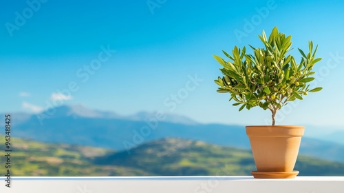 A small olive tree in a terracotta pot, set against a backdrop of mountains and a clear blue sky. The olive tree symbolizes peace, longevity, and abundance, while the terracotta pot represents simplic photo