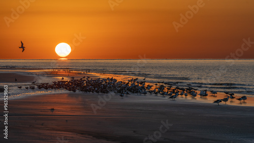 sunset on the beach