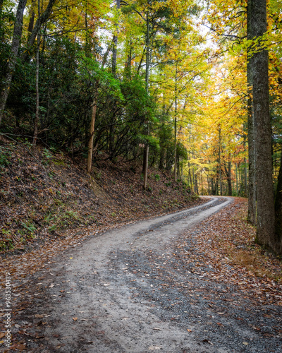 Dirt Road