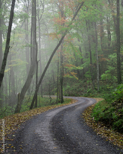 Roadway into mist