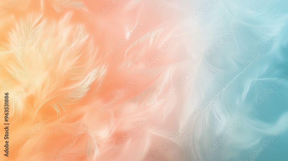 Soft, delicate white feathers on a peach and blue gradient background. Soft, delicate white feathers on a peach and blue gradient background.