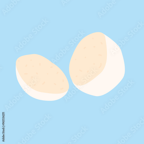 Mozzarella. Piece of cheese. Traditional Italian baby mozzarella cheese. Flat design style for menu cafe, restaurant, poster. Hand drawn mozzarella