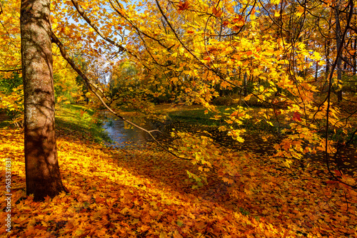 Autumn foliage in Catherine park, Pushkin, Saint Petersburg, Russia