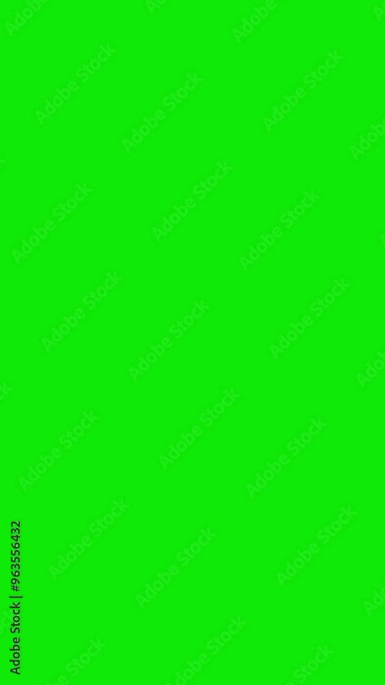 3 Black Swan Birds - Vertical Screen Flying Transition - Low Angle View - Green Background - 3D Animation - Symbol of unpredictable, unforeseen, fatal negative events, bad luck, force majeure 3 Black Swan Birds - Vertical Screen Flying Transition - Low Angle View - Green Background - 3D Animation - Symbol of unpredictable, unforeseen, fatal negative events, bad luck, force majeure