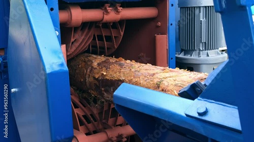 Wood debarking machine removing bark from raw log on woodworking factory. Part of conveyor line in timber manufacturing. Engineering technology in wooden production. Modern equipment on sawmill plant.