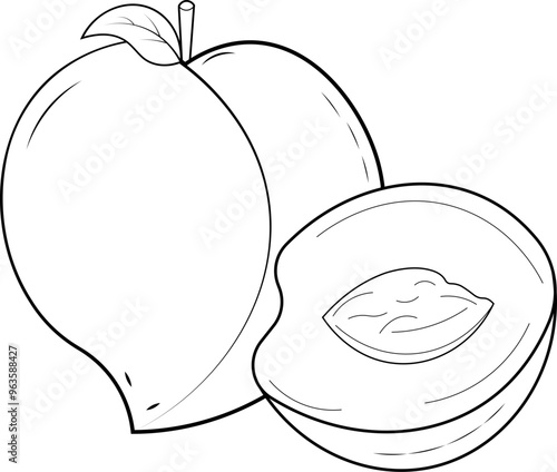 peach fruit illustration coloring page 