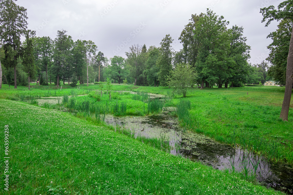 A grassy field with a small stream running through it A grassy field with a small stream running through it