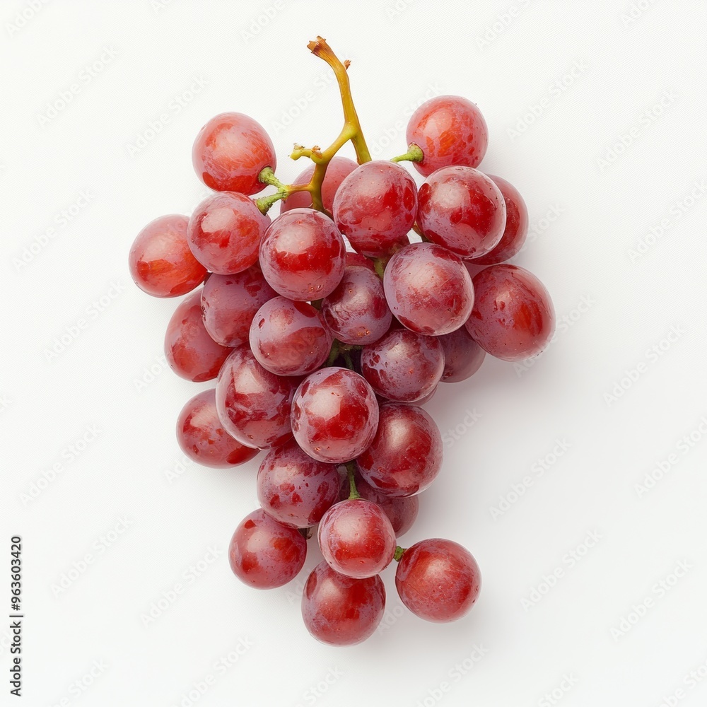 Glossy red grapes with a vine still attached, arranged neatly on a clean white background Glossy red grapes with a vine still attached, arranged neatly on a clean white background