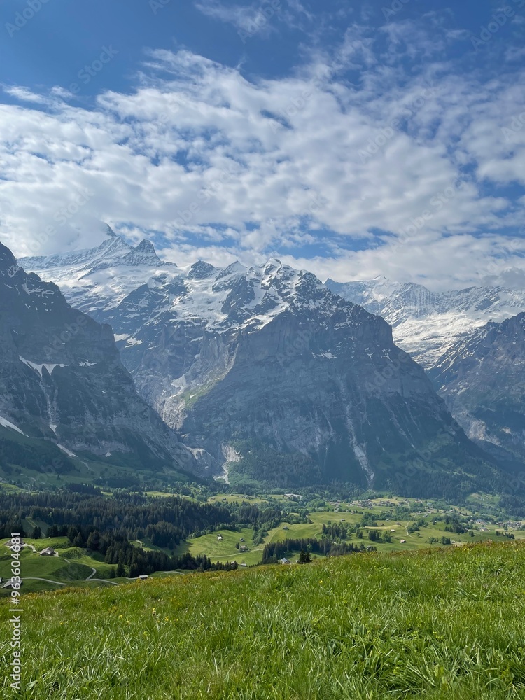 Naklejka premium alpine meadow in the mountains