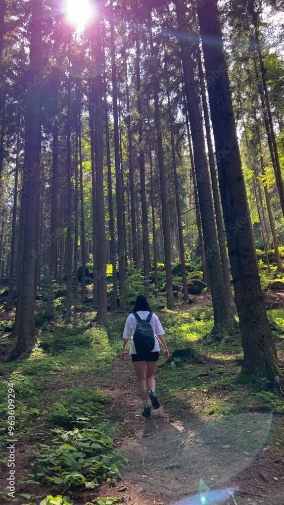 a woman is hiking in the woods