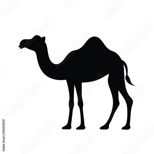 a Camel  vector silhouette illustration, isolated white background 