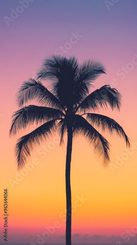 Silhouette of palm tree against colorful sunset