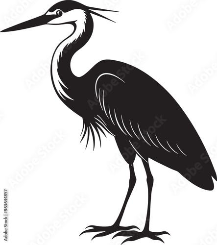 heron illustration photo