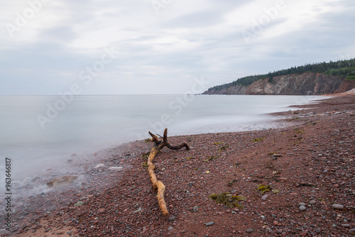 Weathered driftwood rests on Broad Cove Beach in Cape Breton Highlands National Park, Nova Scotia, Canada