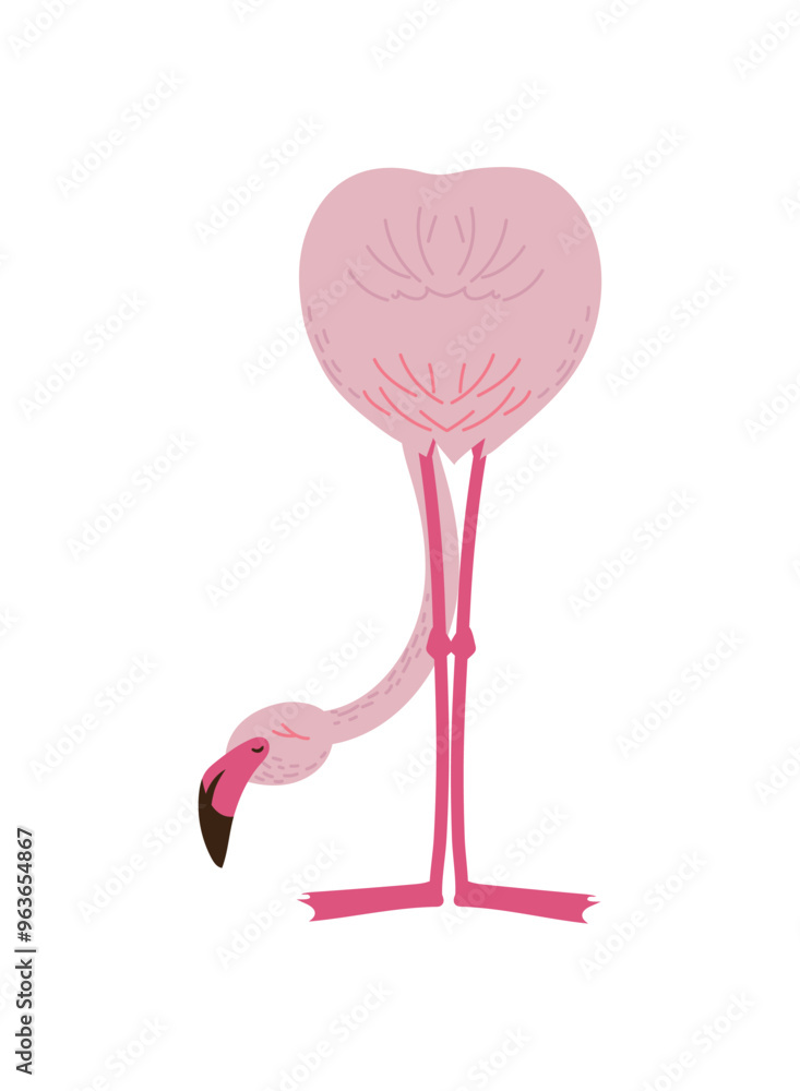 Fototapeta premium tropical flemish bird