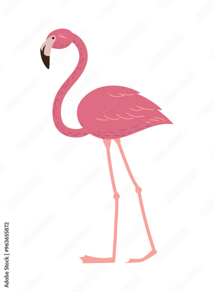 Fototapeta premium tropical flemish bird animal