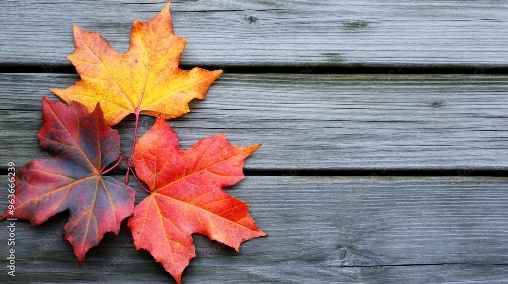 Autumn Leaves on Wooden Surface