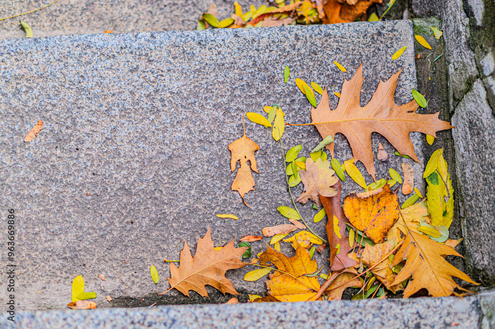 Naklejka premium Autumn leaves on the steps. Piles of autumn leaves accumulate on steps Fallen golden autumn leaves on green grass in sunny morning light yard, toned photo. Fall park landscape background