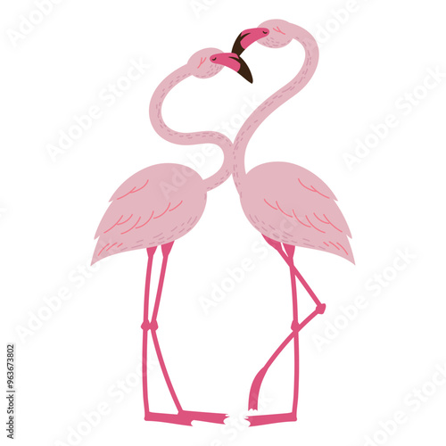 Fotografi exotic flemish couple birds