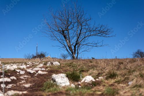 The peak of Slavnik photo