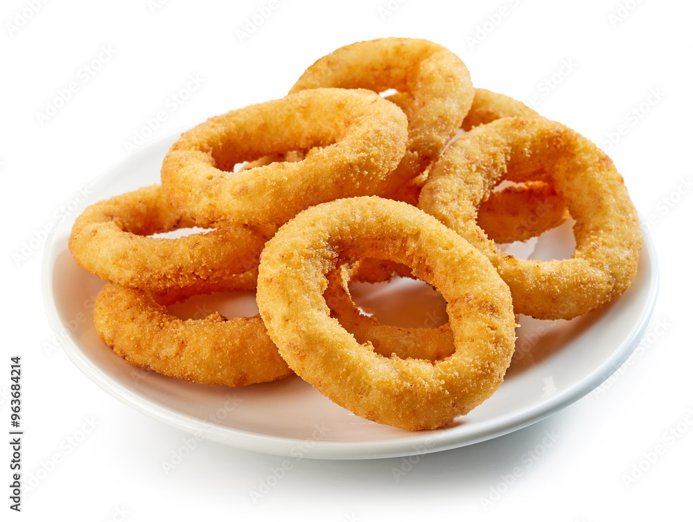 fried onion rings