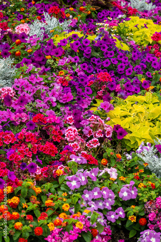 Obraz premium a floral wallpaper