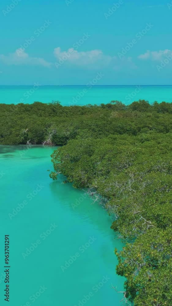 This aerial video showcases a stunning tropical island, surrounded by crystal-clear blue water. The lush green mangrove forest on the island creates a beautiful contrast against the turquoise sea. The This aerial video showcases a stunning tropical island, surrounded by crystal-clear blue water. The lush green mangrove forest on the island creates a beautiful contrast against the turquoise sea. The