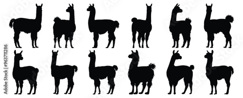 Llama silhouettes set, animal pack of vector silhouette design, isolated background