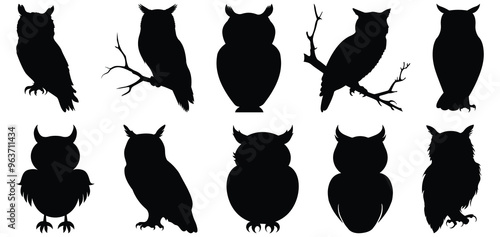 Owl silhouette set vector design big pack of bird illustration and icon