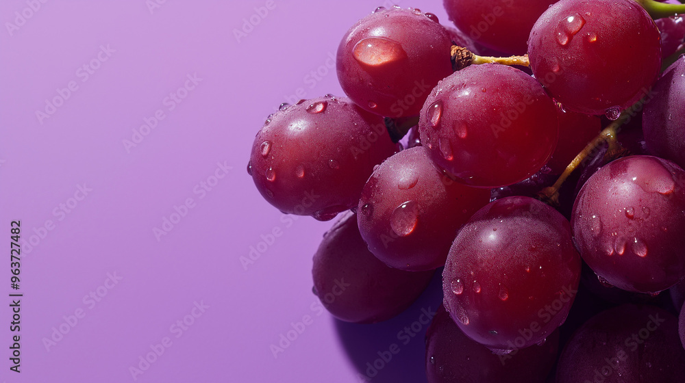 a bunch of red grapes with droplets of water on the surface against an isolated warm purple background a bunch of red grapes with droplets of water on the surface against an isolated warm purple background