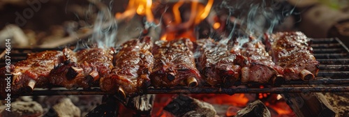 Obraz na płótnie Grilled BBQ Meat for Lunch in Nature w salonie