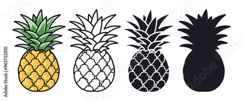 Pineapple vector illustration, outline, silhouette on white background