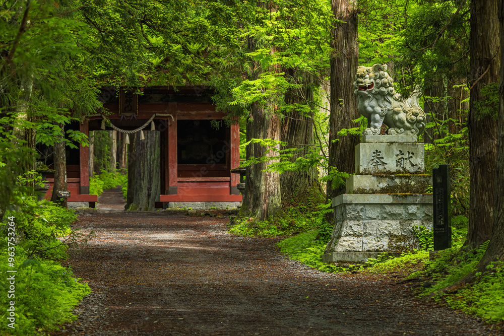 日本 長野県長野市にある戸隠神社の奥社参道と随神門 日本 長野県長野市にある戸隠神社の奥社参道と随神門