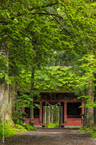 Obraz na płótnie 日本 長野県長野市にある戸隠神社の奥社参道と随神門