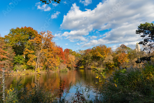 Park autumn tree and pond in New York. Scenic fall. Central park in autumn. Autumn landscape with pond. Fall nature landscape. Autumn nature in Central park. Seasonal fall landscape. City park