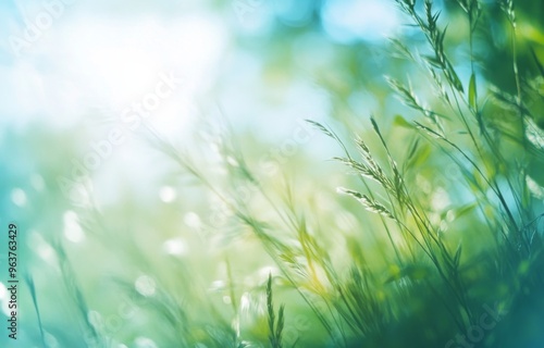 Blurry Background of Tall Grass Swaying in the Wind with Sunlight Filtering Through Leaves and Soft Shadows on a Blue Overcast Sky, Creating a Tranquil and Calming Atmosphere