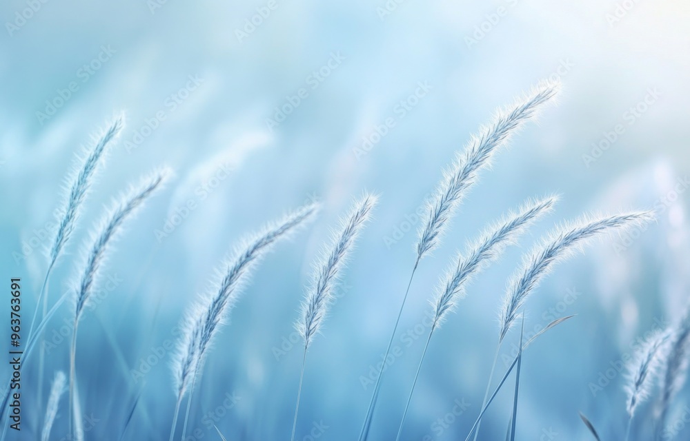 Obraz premium Tall Grass Swaying in the Breeze with a Blurred Background of Sky and Clouds, Capturing Delicate Textures Against Soft Blue Tones of Dawn or Dusk
