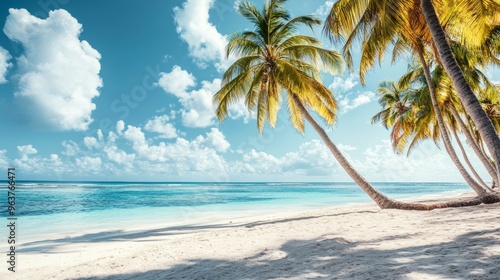 Fototapeta Naklejka Na Ścianę i Meble -  Tropical sea beach scene with clear turquoise water, white sandy shore and palm trees under a bright blue sky on a sunny day