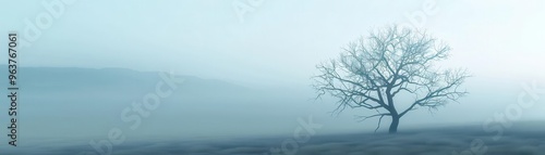 Abstract foggy landscapes with muted tones, nature background, ethereal mist