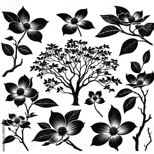 Dogwood (Cornus florida) Silhouettes vector