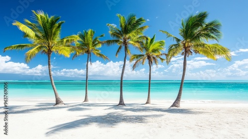 Tropical sea beach scene with clear turquoise water, white sandy shore and palm trees under a bright blue sky on a sunny day