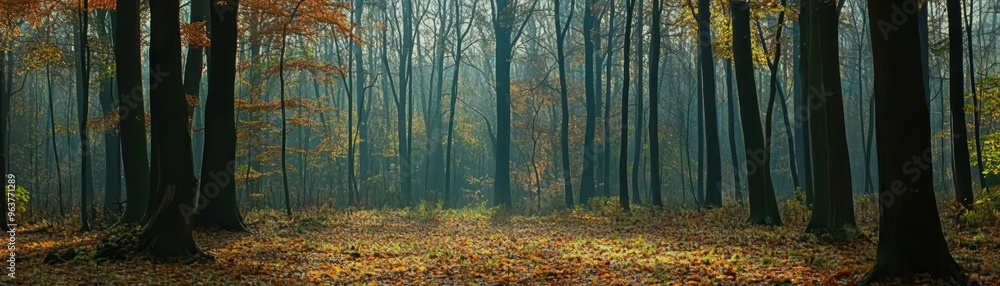 Gentle breeze rustling the leaves of a forest, mild weather, peaceful nature scene Gentle breeze rustling the leaves of a forest, mild weather, peaceful nature scene