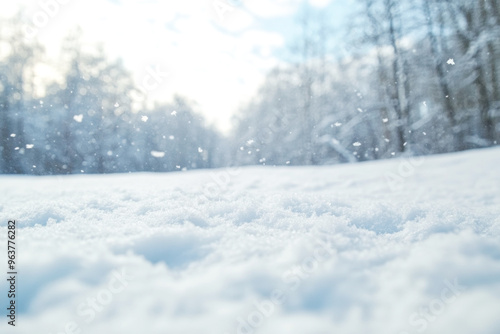 Wallpaper Mural Snowy landscape with soft snowdrifts and gentle falling snow, set against a blurred background of winter trees and a cloudy sky Torontodigital.ca