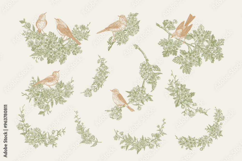 Fototapeta premium Set with birds and flowering branches