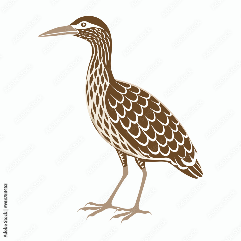 Obraz premium vector Bittern on white background