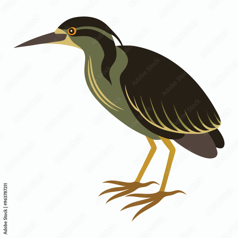 Obraz premium vector Bittern on white background
